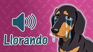 9 Sonido de Perro Llorando - Incluido Cachorro llorando y lloriqueando