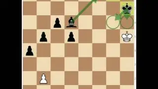 Atomic Endgame - Advanced 4 - Rook Perpetuals