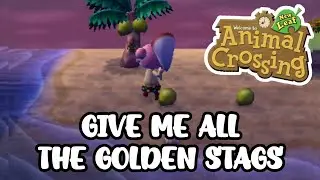 Bug Hunting on Tortimer's Island at Night in Animal Crossing New Leaf