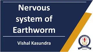 B.Sc. Sem-1 Nervous System of Earthworm Unit 2