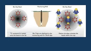 18 Sep 2020 | Selecting Molecular Biological Tool for Assessment of InSitu Contaminant Degradation