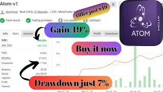 Atom EA v1.0 MT4 &ndash; Breakout Forex Robot
