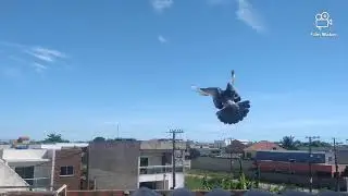 Iniciando o vôo dos filhotes de pombos !!!
