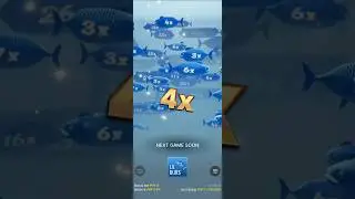 Ice Fishing Evolution lil blues 4x Topslot #evolution