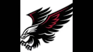 Hawk TV Live Stream