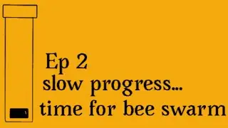Bee swarm time!  Ep 2 slow progress..