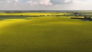 Aerial (drone) scenes of beautiful Edmonton, Alberta, Canada