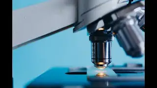 The Science DAO &mdash; Science Scientists and Blockchain!
