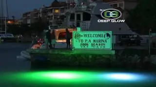 Deep Glow Underwater Light Commercial