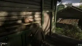 [ RED DEAD RP Wildwest 2.0] Indien en sueur