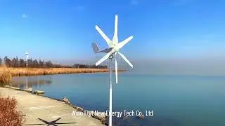 Poland stock FLYT 1000W permanent magnet generator small wind turbine wind power generation system