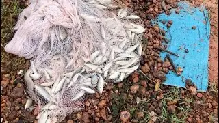 ដល់ក៏ហើយបងប្អូនមកបង់ត្រីបានច្រើនណាស់🐟🐠🕸️។ fishing EP(01)