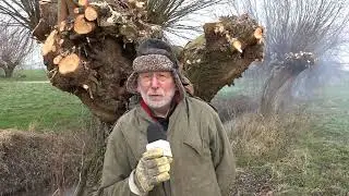 Wilgen knotten