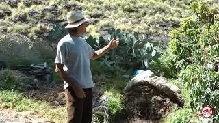 GRANJA ARTERRA - FINCA ECOLÓGICA - EL RISCO  VILLA DE AGAETE - CARLOS FREY