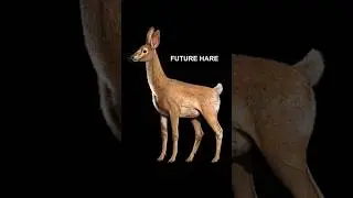Speculative Evolution of Rabbit to deer 🦌 future here