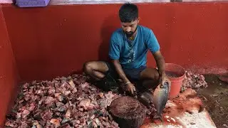 Function fish cutting 😋 #livefish #livestream #viral #trending #youtube 