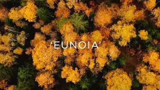 DIM3NSION - Eunoia [In Trance We Trust]