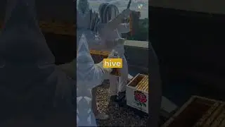 Bee Conservation Tuesday Series Part 1