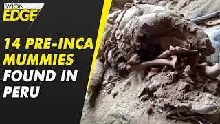 Peruvian archaeologists have discovered 14 pre-Inca mummies | WION Edge