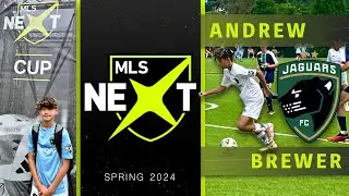 Andy Brewer -- Spring 2024 -- Final