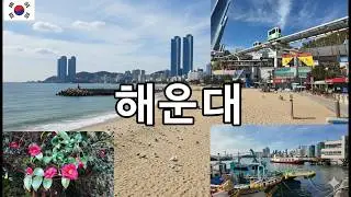 #해운대시장 #미포 #블루라인파크 #동백섬 #마린시티 #영화의 거리 #더베이101 (Haeundae Beach Walk)