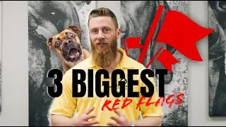 3 Franchise Red Flags to Avoid | What Every Entrepreneur Should Know