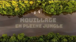 Entre Crocodiles et Toucans, la Jungle nous appelle...