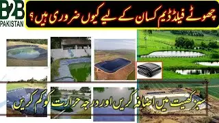 How To Save Water in Storage Pond (Easy to install pond liner)