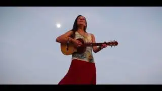 Eterno Sol ::: Mariposa Solar