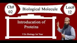 Biology Ch#02-Lecture#12 Introduction to Protein (F.Sc 1st Year)