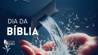 A Palavra que Restaura a Alma | IBLS 14/12/25
