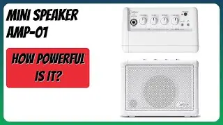 REVIEW (2026): Mini Speaker AMP-01. Features