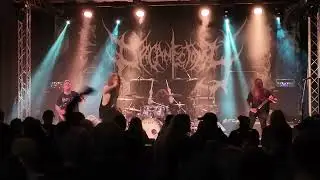 Organectomy - Barrak music Ostrava 11.05.2025