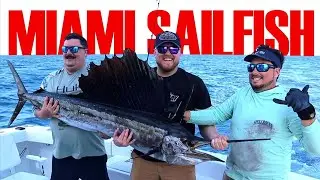 Catching the Fish of a Lifetime Deep Sea Fishing in Miami Florida. Kite Fishing for Sailfish.