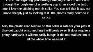 Nylon Adjustable Dog Collar By Hamilton