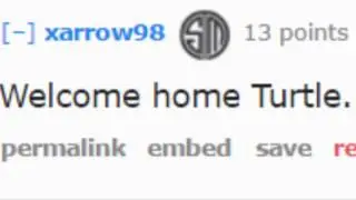 Prove them wrong, WildTurtle.