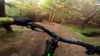 Mega Track | Golfie 