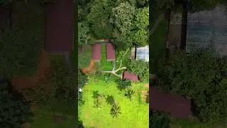 Thatekad  budget forest stay