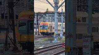 Комплекты V25 и V1 проезжают через Сиднейский двор после заезда на трассе BMT в последние дни.