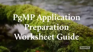 PgMP Application Mentoring Support