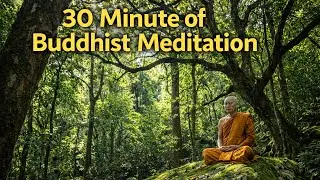 30 Minute Stress Relief: Buddhist Meditation & Calm Music For Positive Energy and Letting Go