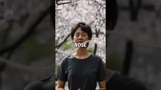 The Power of Breathing for Intimate Endurance 🌬️