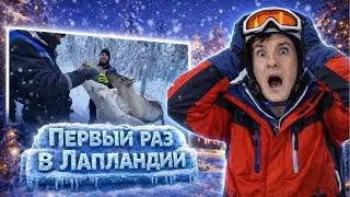 Zloy в Лапландии: гидроциклы, олени и зимние приключения
