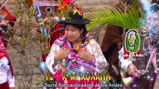 CARNAVALES  DEL PUEBLO LOS CLAVELES DE CHILCAYOCC Y FLOR MAGARITA DE SUCRE TEMA: MANZANITAY