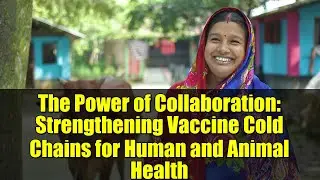 The Power of Collaboration: Strengthening Vaccine Cold Chains for Human and Animal Health