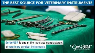 The Best Source For Veterinary Instruments | GerVetUSA