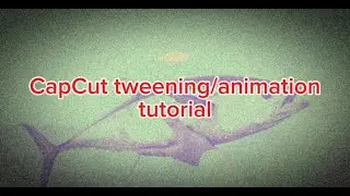 Tweening tutorial for a banned editing software!