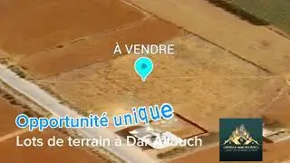 &Agrave; Vendre : Lots de Terrain &agrave; Dar Allouch K&eacute;libia