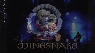 WINESNAKE - Tributo a WHITESNAKE - HERE I GO AGAIN