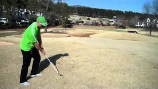 Shark Attack Golf - Bad Lie, Good Shot.